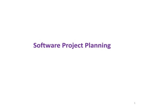 Software project plannings