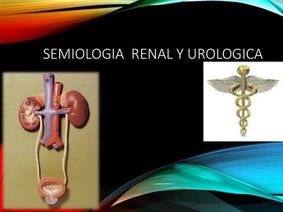 tema-4-semiologia-renal.........................