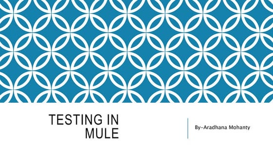 Testing in mule