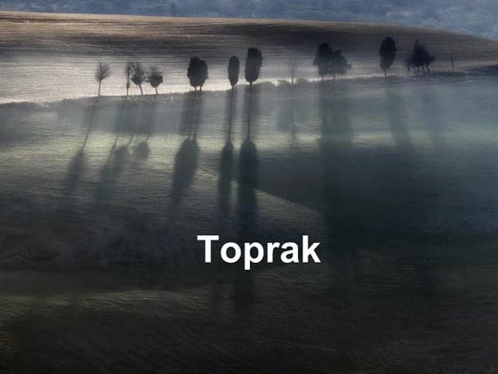 Toprak