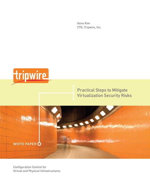 Virtualization Security Risks