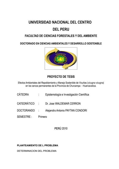 Uncp problema tesis