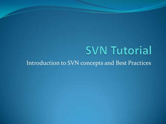 SVN Basics