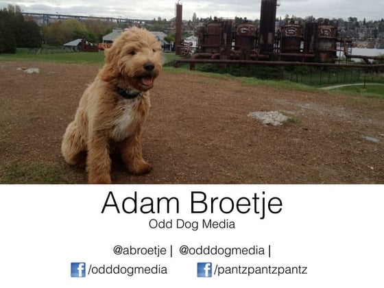 Odd Dog Media - UW American Marketing Association