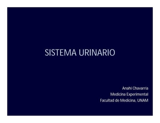 Histología de aparato urinario