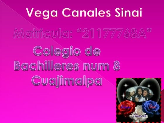 Vida escolar