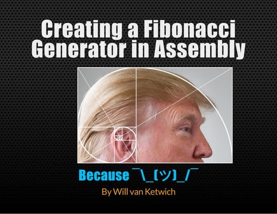 Creating a Fibonacci Generator in Assembly - by Willem van Ketwich