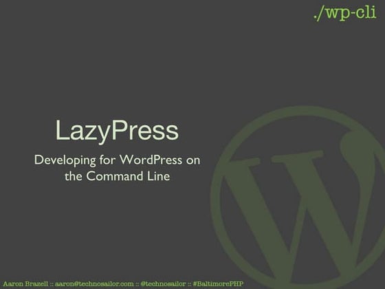 Wp cli