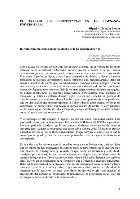 Zabalza formacion por competencias