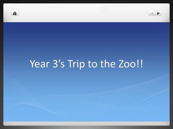 Zoo trip 