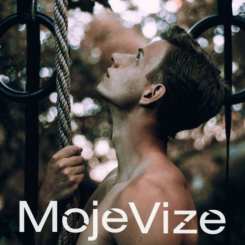 MojeVize