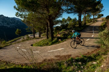 cyclist riding bicycle by tree on winding road