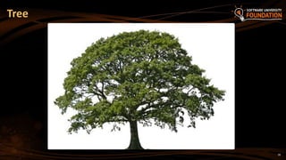 18
Tree
 