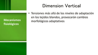 Dimension Vertical
• Tensiones más allá de los niveles de adaptación
en los tejidos blandos, provocarán cambios
morfológicos adaptativosMecanísmos
fisiológicos
 