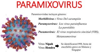 PARAMIXOVIRUS
Paramixoviridae incluyen géneros:
Pneumovirus: El virus respiratorio sincitial (VRS),
Metaneumovirus
Morbillivirus : Virus Del sarampión
Paramyxovirus: Los virus parainfluenza
La parotiditis
Virus Nipah
Virus Hendra
Se identificaron1998, brote de
encefalitis grave en Malasia y
Singapur
 