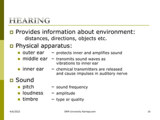 4/6/2022 SRM University Ramapuram 16
 Provides information about environment:
distances, directions, objects etc.
 Physical apparatus:
 outer ear – protects inner and amplifies sound
 middle ear – transmits sound waves as
vibrations to inner ear
 inner ear – chemical transmitters are released
and cause impulses in auditory nerve
 Sound
 pitch – sound frequency
 loudness – amplitude
 timbre – type or quality
 