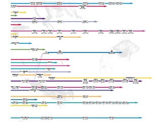 2016 bioinformatics i_python_part_1_wim_vancriekinge