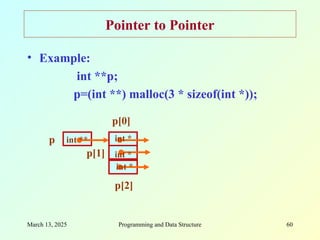 March 13, 2025 Programming and Data Structure 60
Pointer to Pointer
• Example:
int **p;
p=(int **) malloc(3 * sizeof(int *));
p
p[2]
p[1]
p[0]
int *
int **
int *
int *
 