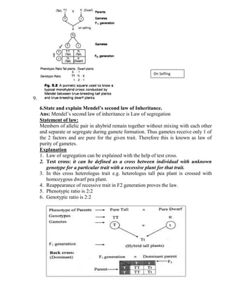 9.
6.State and explain Mendel’s second law of Inheritance.
Ans: Mendel’s second law of inheritance is Law of segregation
Statement of law:
Members of allelic pair in ahybrid remain together without mixing with each other
and separate or segregate during gamete formation. Thus gametes receive only 1 of
the 2 factors and are pure for the given trait. Therefore this is known as law of
purity of gametes.
Explanation
1. Law of segregation can be explained with the help of test cross.
2. Test cross: it can be defined as a cross between individual with unknown
genotype for a particular trait with a recessive plant for that trait.
3. In this cross heterologus trait e.g. heterologus tall pea plant is crossed with
homozygous dwarf pea plant.
4. Reappearance of recessive trait in F2 generation proves the law.
5. Phenotypic ratio is 2:2
6. Genotypic ratio is 2:2
On Selfing
 