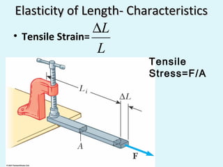 Elasticity of Length- Characteristics
•

∆L
Tensile Strain=
L

Tensile
Stress=F/A

 