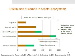 Distribution of carbon in coastal ecosystems 
5 
0 
500 
1000 
1500 
2000 
2500 
Seagrasses 
Tidal 
Salt 
Marsh 
Estuarine 
Mangroves 
Oceanic 
Mangroves 
All 
Tropical 
Forests 
Mean 
soil 
organic 
carbon 
Mean 
living 
biomass 
Soil-­‐Carbon 
Values 
for 
First 
Meter 
of 
Depth 
Only 
(Total 
Depth 
= 
Several 
Meters) 
tCO2e per Hectare, Global Averages 
Data summarized in Crooks et al., 2011; Murray et al., 2011, Donato et al., 2011, Fourqurean et al 2013 
 