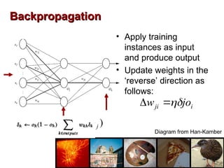 Backpropagation
Backpropagation
Diagram from Han-Kamber
• Apply training
instances as input
and produce output
• Update weights in the
‘reverse’ direction as
follows:
i
ji jo
w 


)
1
(
)
( j
j
j
j
j o
o
o
t 



 