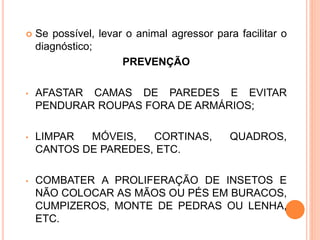  Se possível, levar o animal agressor para facilitar o
diagnóstico;
PREVENÇÃO
• AFASTAR CAMAS DE PAREDES E EVITAR
PENDURAR ROUPAS FORA DE ARMÁRIOS;
• LIMPAR MÓVEIS, CORTINAS, QUADROS,
CANTOS DE PAREDES, ETC.
• COMBATER A PROLIFERAÇÃO DE INSETOS E
NÃO COLOCAR AS MÃOS OU PÉS EM BURACOS,
CUMPIZEROS, MONTE DE PEDRAS OU LENHA,
ETC.
 