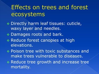  Directly harm leaf tissues: cuticle,
  waxy layer and needles.
 Damages roots and bark.
 Reduce forest canopies at high
  elevations.
 Poison tree with toxic substances and
  make trees vulnerable to diseases.
 Reduce tree growth and increase tree
  mortality.
 
