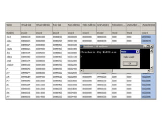 Binary art - Byte-ing the PE that fails you (extended offline version)
