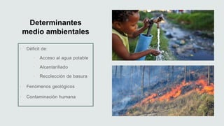 Determinantes
medio ambientales






 