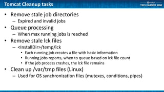 Tomcat Cleanup tasks
• Remove stale job directories
   – Expired and invalid jobs
• Queue processing
   – When max running jobs is reached
• Remove stale lck files
   – <InstallDir>/temp/lck
       • Each running job creates a file with basic information
       • Running jobs reports, when to queue based on lck file count
       • If the job process crashes, the lck file remains
• Clean up /var/tmp files (Linux)
   – Used for OS synchronization files (mutexes, conditions, pipes)
 