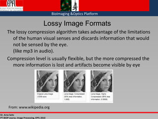 Dr. Arne Seitz
PT-BIOP course, Image Processing, EPFL 2010
BioImaging &Optics Platform
Lossy Image Formats
The lossy compression algorithm takes advantage of the limitations
of the human visual senses and discards information that would
not be sensed by the eye.
(like mp3 in audio).
Compression level is usually flexible, but the more compressed the
more information is lost and artifacts become visible by eye
From: www.wikipedia.org
 
