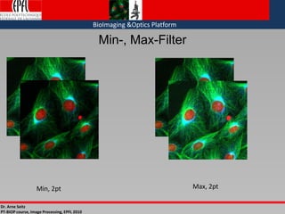 Dr. Arne Seitz
PT-BIOP course, Image Processing, EPFL 2010
BioImaging &Optics Platform
Min-, Max-Filter
Min, 2pt Max, 2pt
 