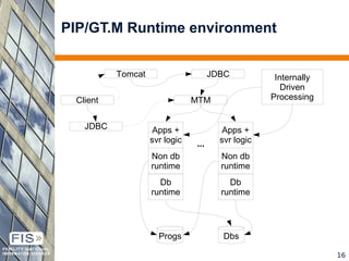 FIS-PIP™ – A high end database application development platform