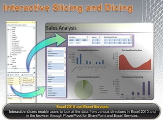 Data VisualizationBasic Business IntelligenceCustom Business Intelligence Web PortalPowerPivot for SharePoint and Self Services BI