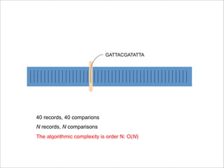GATTACGATATTA
40 records, 40 comparions
N records, N comparisons
The algorithmic complexity is order N: O(N)
 