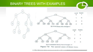 BINARY TREES WITH EXAMPLES
 