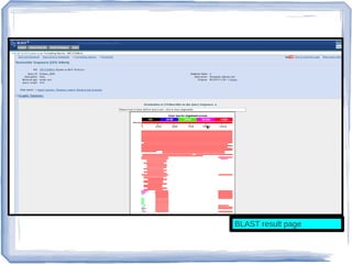 BLAST result page
 