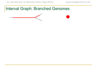Interval Graph: Branched Genomes
 