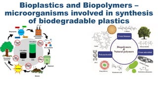 Bioplastics and Biopolymers –
microorganisms involved in synthesis
of biodegradable plastics
 