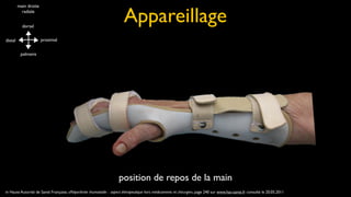 Appareillage
         main droite
           radiale


           dorsal


distal                 proximal


          palmaire




                                                                     position de repos de la main
in Haute Autorité de Santé Française, «Polyarthrite rhumatoïde : aspect thérapeutique hors médicaments et chirurgie», page 240 sur www.has-sante.fr consulté le 20.05.2011
 