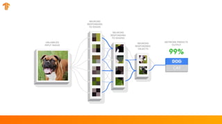 Introduction to TensorFlow 2.0