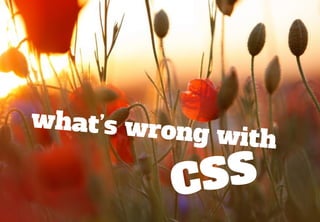 what’s wro
          ng with

         CSS
 