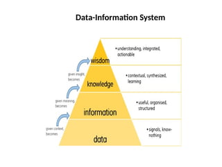 Data-Information System
 