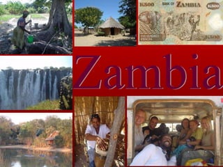 Zambia 