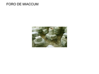 FORO DE MIACCUM 
