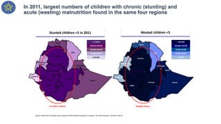 In 2011, largest numbers of children with chronic (stunting) and
acute (wasting) malnutrition found in the same four regions
Wasted children <5
Source: DHS (2011); Ethiopia Census Report (2007); World Population Prospects, The 2010 Revision, Volume II (2011)
950,000 children
Stunted children <5 in 2011
4.6 million children
≥ 1 million
500,000-999,999
100,000-499,999
50,000-99,999
0-49,999
≥ 200,000
100,000-199,999
50,000-99,999
25,000-49,999
0-24,999
 