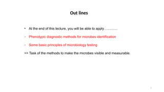 2
• At the end of this lecture, you will be able to apply…………
- Phenotypic diagnostic methods for microbes identification
- Some basic principles of microbiology testing
=> Task of the methods to make the microbes visible and measurable.
Out lines
 