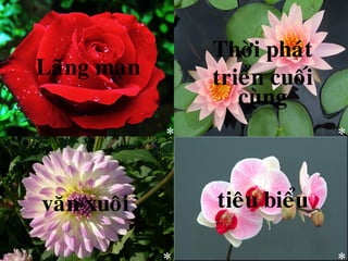 Thôøi phaùt
Laõng maïn       trieån cuoái
                    cuøng
             ∗                  ∗



vaên xuoâi       tieâu bieåu

             ∗                  ∗
 