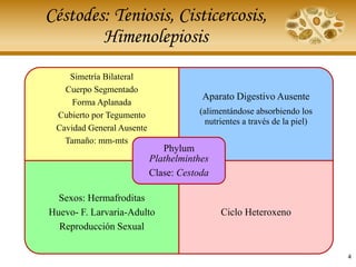 Céstodes: Teniosis, Cisticercosis,
Himenolepiosis
4
Simetría Bilateral
Cuerpo Segmentado
Forma Aplanada
Cubierto por Tegumento
Cavidad General Ausente
Tamaño: mm-mts
Aparato Digestivo Ausente
(alimentándose absorbiendo los
nutrientes a través de la piel)
Sexos: Hermafroditas
Huevo- F. Larvaria-Adulto
Reproducción Sexual
Ciclo Heteroxeno
Phylum
Plathelminthes
Clase: Cestoda
 